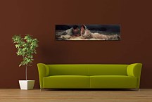 Obraz Lawrence Alma-Tadema zs16951