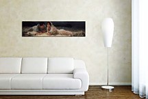 Obraz Lawrence Alma-Tadema zs16951