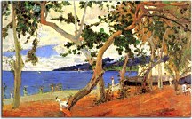 Obraz Coastal Landscape from Martinique zs17089