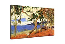 Obraz Coastal Landscape from Martinique zs17089