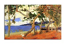 Obraz Coastal Landscape from Martinique zs17089