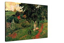 Coming and going, Martinique Obraz zs17090