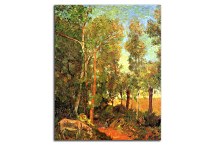 Donkey by lane zs17096