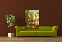 Donkey by lane zs17096