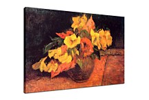 Evening primroses in the vase zs17098