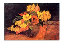 Evening primroses in the vase zs17098