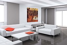 Skaters in Fredericksberg park Obraz zs17203