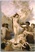 Obrazy William-Adolphe Bouguereau - Birth of Venus zs17335