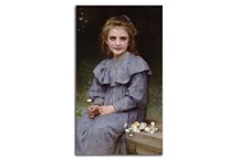 Daisies zs17346 - Obraz