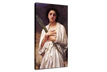 La palme zs17379 - obraz