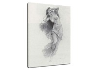 Reprodukcia Night zs17408