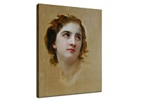 Sketch of a Young Woman zs17441 - reprodukcia