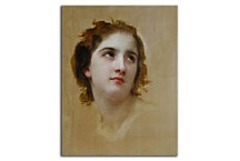 Sketch of a Young Woman zs17441 - reprodukcia