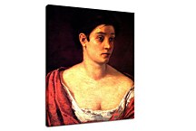 Portrait Of A Woman Obraz zs17608