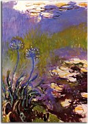 Agapanthus Reprodukcia Claude Monet zs17707