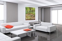 The Japanese Bridge Obraz Monet zs17714