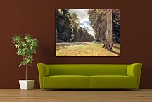 The Pave de Chailly in the Fontainbleau Forest Obraz Claude Monet - zs17772