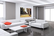 The Pave de Chailly in the Fontainbleau Forest Obraz Claude Monet - zs17772