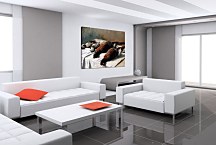 Pheasants And Plovers Obraz Claude Monet - zs17773