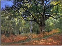 The Bodmer Oak, Fontainebleau Reprodukcia Monet - zs17819