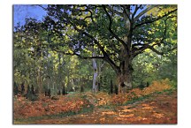 The Bodmer Oak, Fontainebleau Reprodukcia Monet - zs17819