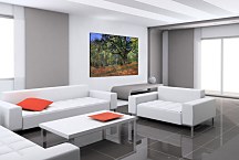 The Bodmer Oak, Fontainebleau Reprodukcia Monet - zs17819