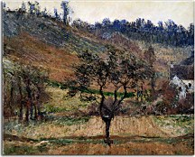 Reprodukcia Monet - The Valley Of Falaise zs17848