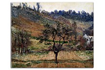 Reprodukcia Monet - The Valley Of Falaise zs17848