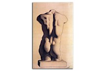 Picasso  Reprodukcia - Plaster male torso zs17931