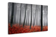Obraz Les zs179