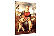 Rafael Santi obraz Madonna of the Goldfinch zs18004