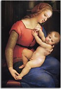 The Virgin of the House of Orleans - Rafael Santi reprodukcia zs18019
