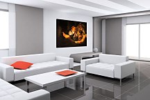 Reprodukcia Rembrandt - The Rich Man from the Parable zs18045