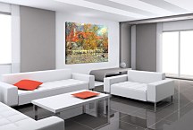 The Duck Pond Reprodukcia Renoir zs18068