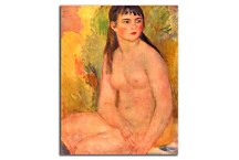 Auguste Renoir - Nude zs18099