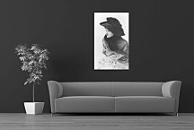 James Tissot obraz - Portrait of M.N zs18247