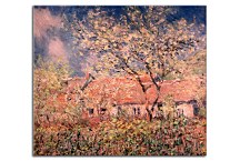 Monet obraz - Spring Morning zs18256