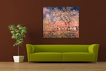 Monet obraz - Spring Morning zs18256