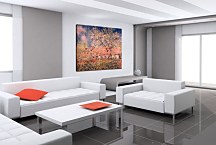 Monet obraz - Spring Morning zs18256