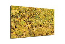 Reprodukcie Vincent van Gogh - A Field of Yellow Flowers zs18369