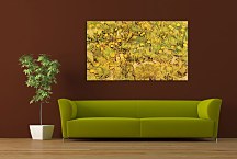 Reprodukcie Vincent van Gogh - A Field of Yellow Flowers zs18369