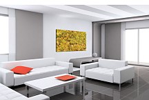 Reprodukcie Vincent van Gogh - A Field of Yellow Flowers zs18369