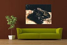 Vincent van Gogh Obraz - A Pair of Shoes zs18373