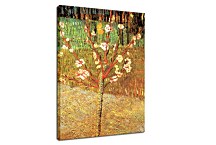 Obrazy Vincent van Gogh - Almond Tree in Blossom zs18375