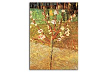 Obrazy Vincent van Gogh - Almond Tree in Blossom zs18375