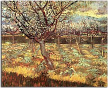 Reprodukcie Vincent van Gogh - Apricot Trees in Blossom zs18376