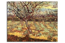 Reprodukcie Vincent van Gogh - Apricot Trees in Blossom zs18376