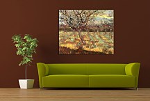 Reprodukcie Vincent van Gogh - Apricot Trees in Blossom zs18376
