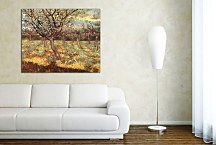 Reprodukcie Vincent van Gogh - Apricot Trees in Blossom zs18376