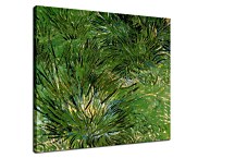 Vincent van Gogh Obraz - Clumps of Grass zs18383